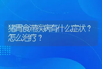 猪胃食滞疾病有什么症状？怎么治疗？