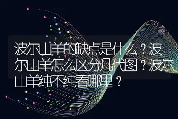 波尔山羊的缺点是什么？波尔山羊怎么区分几代图？波尔山羊纯不纯看哪里？