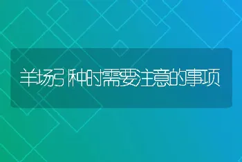 羊场引种时需要注意的事项