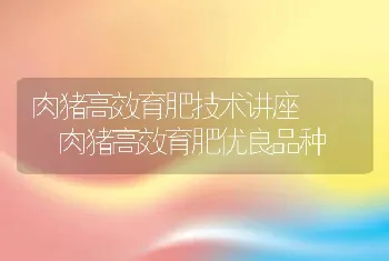 肉猪高效育肥技术讲座―― 肉猪高效育肥优良品种