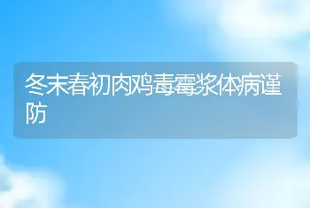 冬末春初肉鸡毒霉浆体病谨防