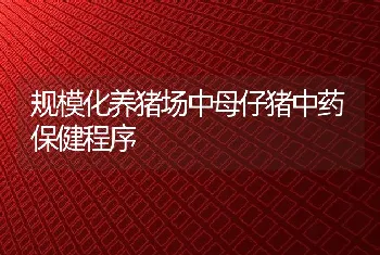 规模化养猪场中母仔猪中药保健程序