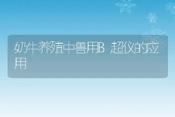 肉鸡病毒性关节炎的防治