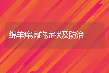 绵羊痒病的症状及防治