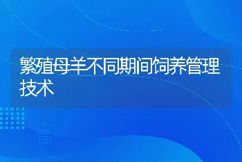 繁殖母羊不同期间饲养管理技术