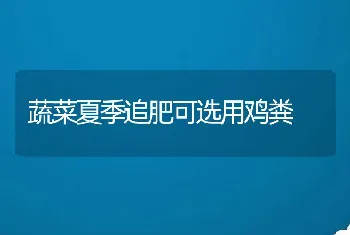 鱼、虾、蟹秋季如何抓膘