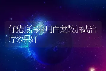 仔猪腹泻利用白龙散加减治疗效果好