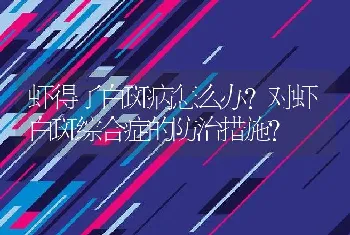 虾得了白斑病怎么办？对虾白斑综合症的防治措施？