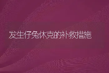 发生仔兔休克的补救措施