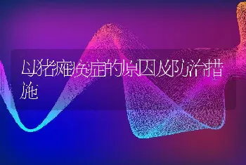 母猪瘫痪症的原因及防治措施