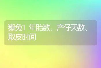 獭兔1年胎数、产仔天数、取皮时间