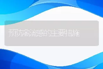 预防禽流感的主要措施