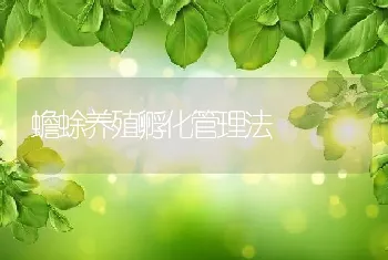 蟾蜍养殖孵化管理法