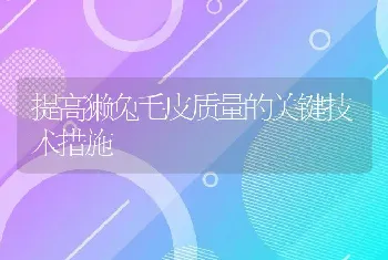 提高獭兔毛皮质量的关键技术措施