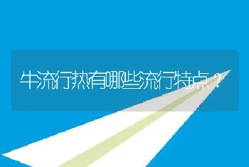 牛流行热有哪些流行特点？