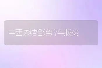 中西医结合治疗牛肠炎