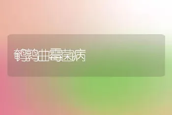 鹌鹑曲霉菌病