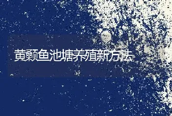 黄颡鱼池塘养殖新方法