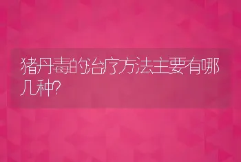 猪丹毒的治疗方法主要有哪几种？