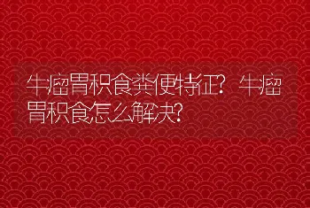 牛瘤胃积食粪便特征?牛瘤胃积食怎么解决?