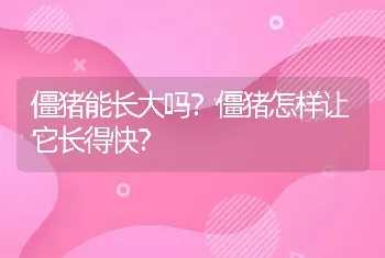 僵猪能长大吗？僵猪怎样让它长得快？