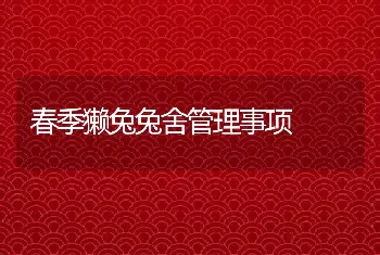 春季獭兔兔舍管理事项