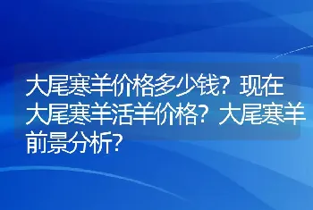 大尾寒羊价格多少钱？现在大尾寒羊活羊价格？大尾寒羊前景分析？