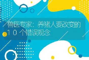 兽医专家：养猪人要改变的10个错误观念