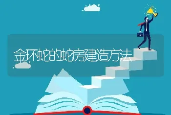 金环蛇的蛇房建造方法