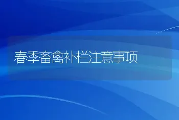 春季畜禽补栏注意事项