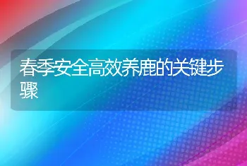 春季安全高效养鹿的关键步骤