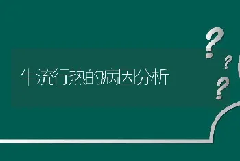 牛流行热的病因分析