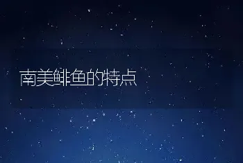 南美鲱鱼的特点