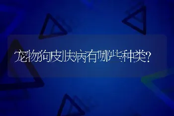 宠物狗皮肤病有哪些种类？