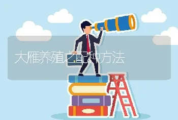 大雁养殖之配种方法