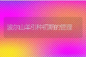 波尔山羊引种初期的管理