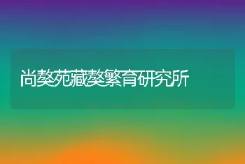 尚獒苑藏獒繁育研究所