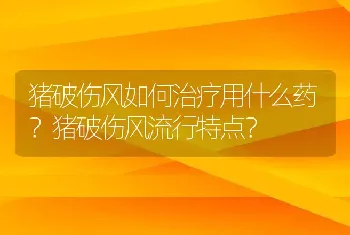 猪破伤风如何治疗用什么药？猪破伤风流行特点？