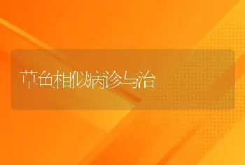 草鱼相似病诊与治