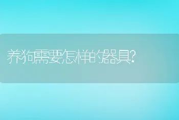 养狗需要怎样的器具?