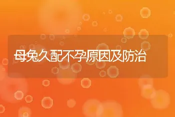 母兔久配不孕原因及防治