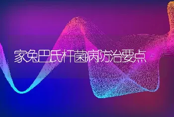 家兔巴氏杆菌病防治要点