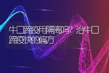 牛口蹄疫用隔离吗?治牛口蹄疫快的偏方