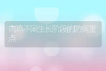 怎样防治鹌鹑慢性呼吸道病问题