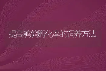 提高鹌鹑孵化率的饲养方法