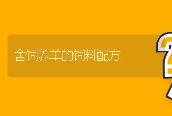 舍饲养羊的饲料配方