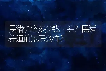 民猪价格多少钱一头？民猪养殖前景怎么样？