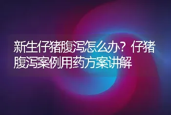 新生仔猪腹泻怎么办？仔猪腹泻案例用药方案讲解