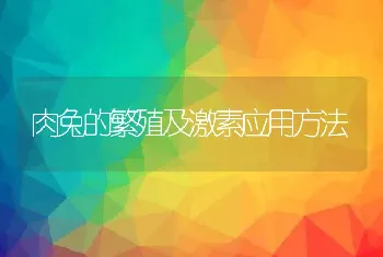 肉兔的繁殖及激素应用方法