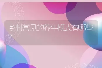 乡村常见的养牛模式有哪些？